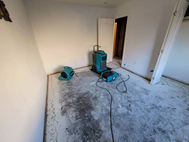 Best Water damage restoration company  in Boley, OK